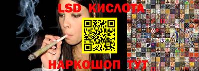 шишки Нарткала