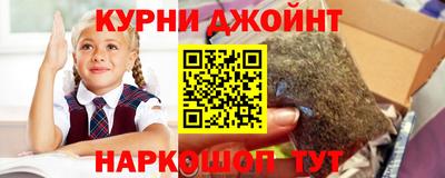 шишки Нарткала